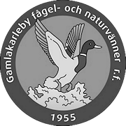 GFN logo